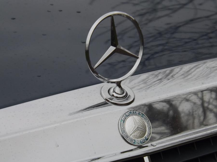 Логотип Mercedes-Benz 500E (W124) 1993 года  (фото 12 из 21)